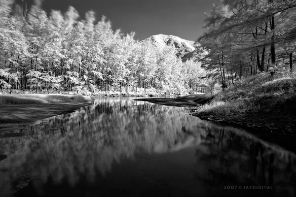 Photo by:: Jay_J (2008)