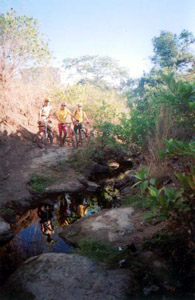Stream after the Drop
N14?22.8185' E121?01.4766'
..