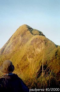 "Facing the rock"
Near the higher peak of Mt. Batulao
Photo by:: paulperez (2000)