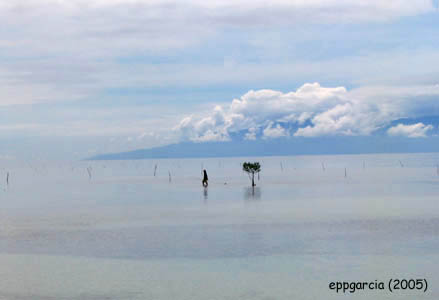 Typical scenery during slack tide. This particular shot was taken from the Pantalan Beach Resort
Photo by:: EPPGarcia (2005)