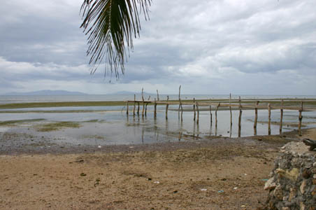Also a typical scenery ... this one, during low tides when the intertidal rock gets exposed. Shot taken at the Ronco Beach showing the Calumpang Peninsula (Anilao) on the background.
Photo by:: EPPGarcia (2005)