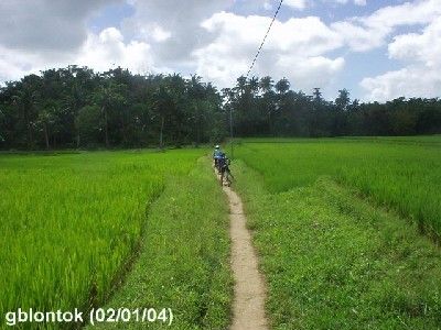 Photo by:: GBLontok (2004)