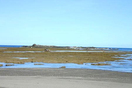 This is the tidal flat that gets exposed and where one can walk to get to the promontory. Notice the person in yellow walking midway? This gives a scale of how wide the tide flat is.
Photo by:: EPPGarcia (2004)