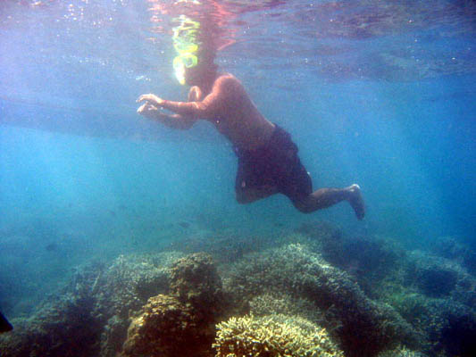 Photo by:: EPPGarcia (2006)