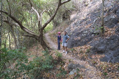 The footpath that leads to the falls. Some sections are steep and slippery. You go through about 500meters of trail to climb up to an elevation of 146m (500ft) then down a 120m trail to decend to an elevation of 100m.
Photo by:: EPPGarcia (2002)