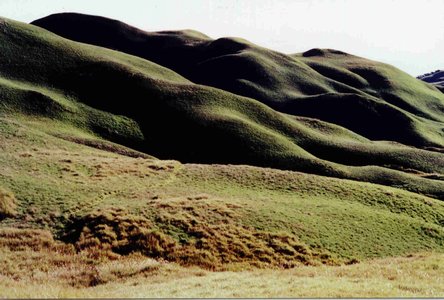 Photo by:: paulperez (2002)