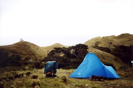 Campsite II just a the foot Mt. Pulag and right after the Forest trail.
Photo by:: paulperez (2002)