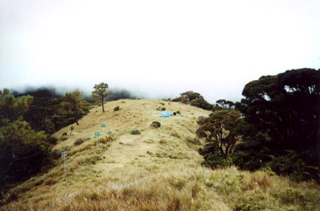 View of Campsite II from trail going to Mt. Pulag peak.
Photo by:: paulperez (2002)