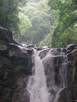 Photo by:: padyakbud (2006)