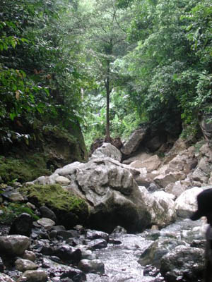 Photo by:: padyakbud (2006)