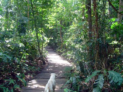 Photo by:: macapinlac (2004)